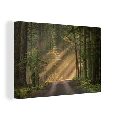 Zdjęcie produktu dla OneMillionCanvasses® - Obraz na płótnie - 150x100 cm, Las - Drzewo - Ścieżka, dekoracja ścienna z nadrukiem