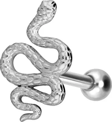 Produktbild von Ohrpiercing Chirurgenstahl Ohrpiercing SCHLANGE