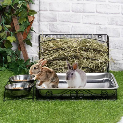 3-in-1 Futterstation mit Toilette und 2 Edelstahl-Näpfen