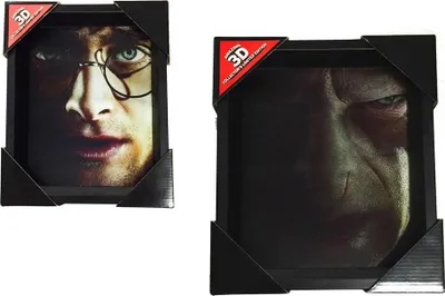 Immagine prodotto di Harry Potter Immagine 3D - Harry contro Voldemort