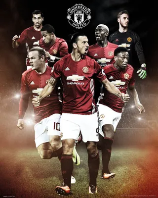 Produktbild von Manchester United - Mini-Poster - Fußball - Players 16/17
