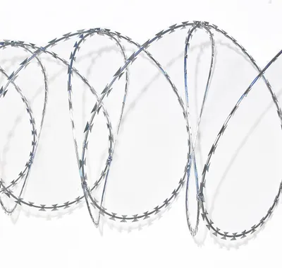 Produktbild von DEL Widerhakensperrdraht - verzinkt - Ø 730 mm