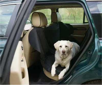 Produktbild von Auto Hundedecke/ Schutzdecke mit Seitenschutz für Rücksitze, schwarz von PETEX