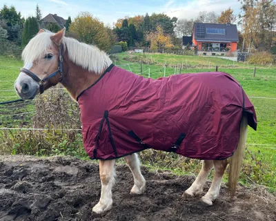 Produktbild von Winterdecke Red Winter - 1680D - 200g Größe (Pferdedecke) - 155 cm
