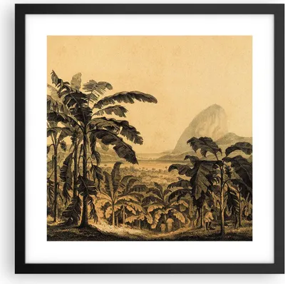 Produktbild von Gerahmtes Poster - Schwarzer Rahmen - Palmen Wald Regnerisch - 40x40 cm - Wand Bild - Wanddeko - Wandbilder - Kunstposter - Wandposter - Bilderrahmen - Bilder - Kunstdruck - P2BAC40x40-4983