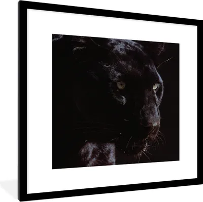 Produktbild von MuchoWow® MuchoWow® Gerahmtes Poster Panther - Tier - Schwarz 40x40 cm - Poster mit zchwarzem Bilderrahmen - Poster - Plakat im Rahmen