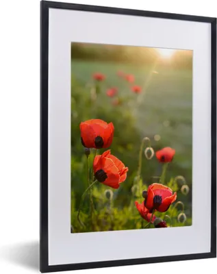Produktbild von MuchoWow® MuchoWow® Gerahmtes Poster Mohnblumen bei Sonnenuntergang 30x40 cm - Poster mit zchwarzem Bilderrahmen - Wandposter Schlafzimmer