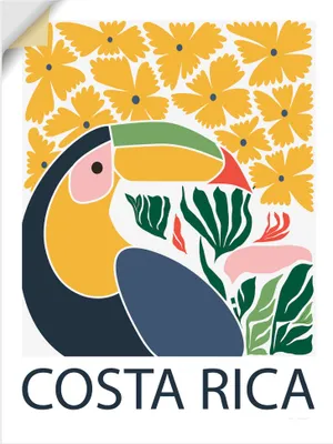 Produktbild von ARTland Wandbild, selbstklebend Costa Rica Größe: 90x120 cm