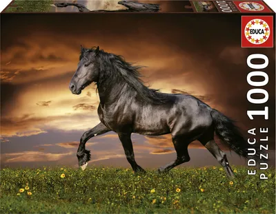Image de EDUCA Puzzle Cheval au trot 1000 pièces