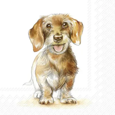 Produktbild von IHR Serviette Fritz 20 Stück 33x33 cm Papierservietten Tischdeko Party