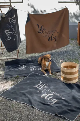 Produktbild von David Fussenegger Hundedecke 'life is better' 100 x 140 cm Anthrazit