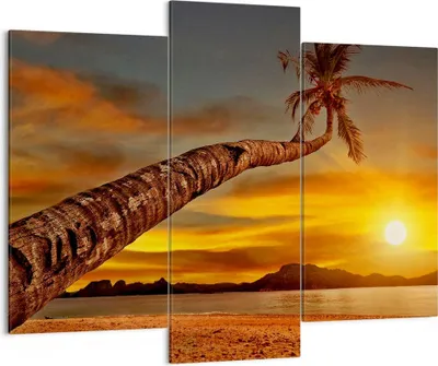 Produktbild von Bild auf Leinwand - Leinwandbild - Palme Landschaft Sonne - 130x100cm - Wand Bild - Wanddeko - Leinwanddruck - Bilder - Kunstdruck - Wanddekoration - Leinwand bilder - Wandkunst - CB130x100-0162