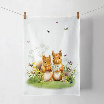 Immagine prodotto di Canovaccio in cotone 50x70 cm con motivo scoiattolo bianco/marrone