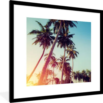 Produktbild von MuchoWow® Gerahmtes Poster Palme - Sommer - Retro - Sonne 40x40 cm - Poster mit Schwarzem Bilderrahmen Wandposter Rahmen Foto Bilder - Poster - Plakat im Rahmen