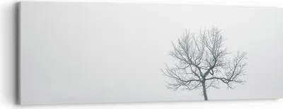 Produktbild von Bild auf Leinwand - Leinwandbild - Baum Feld Natur - 90x30cm - Wand Bild - Wanddeko - Wandbilder - Leinwanddruck - Bilder - Kunstdruck - Wanddekoration - Leinwand bilder - Wandkunst - AB90x30-3683
