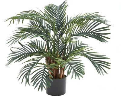 Produktbild von aplanta Künstlicher Palmfarn – Alamea | 75 cm, für drinnen, Kunstpflanze, wie echt, Allergiker geeignet, pflanzliche Dekoration Praxis, Office & Wohnzimmer