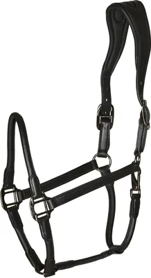 Produktbild von Catago Equestrian Lederhalfter Schwarz Full