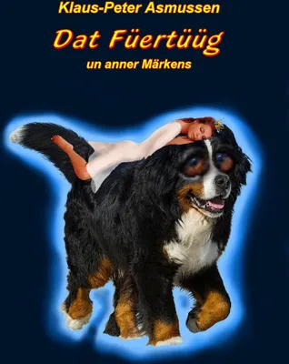 Produktbild von Dat Füertüüg