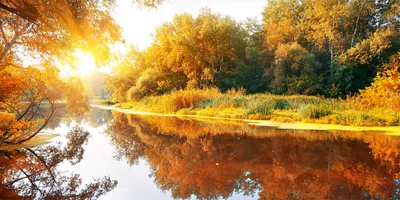 Produktbild von Tulup® Leinwandbild -100x50 cm - Wandkunst - Drucke auf Leinwand - Leinwanddruck  - Landschaften - Orange - Fluss im Herbst