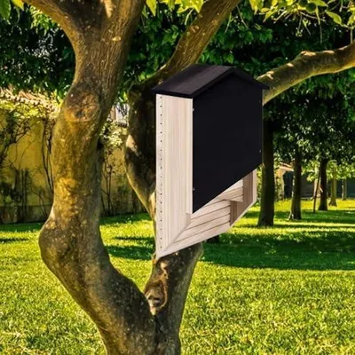 Produktbild von Fledermaushäuser aus Holz für den Außenbereich