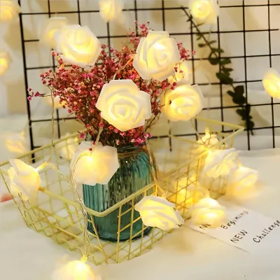 Rosen-Lichterkette 3m 20 LED USB warmweiß für Dekoration