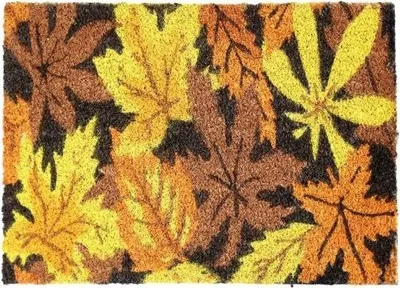 Image de 40 x 60 cm Tapis d'entrée en fibres de coco - pour l'extérieur et l'intérieur