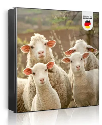 Produktbild von banjado Schlüsselkasten aus Metall, 30x30cm groß mit 32 Haken, als Magnettafel nutzbar, Korpus schwarz, Anschlag links, Schaffamilie [SKG2 10473]
