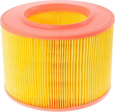 Image de MS 18121-LF-PCS-MS Filtre à air pour RENAULT 19 I (B/C53_)