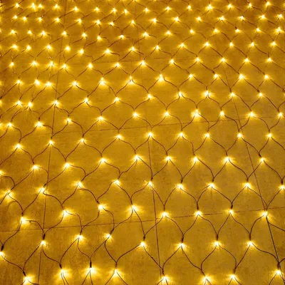 Imagen del producto de LILIIN, cadena de luces LED de 3x2 metros, 250 LEDs, luz cálida, 8 modos de iluminación, enchufe europeo, ideal para decoración interior