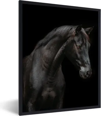 Produktbild von MuchoWow® Gerahmtes Poster Pferd - Tiere - Schwarz - Porträt 60x80 cm - Poster mit Schwarzem Bilderrahmen Wandposter Rahmen Foto Bilder - Premium - Wanddeko Wohnzimmer