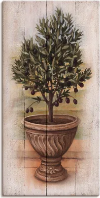 Produktbild von ARTland Leinwandbild Olivenbaum mit Holzoptik Größe: 30x60 cm