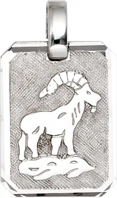 Produktbild von JOBO Anhänger Sternzeichen Steinbock 925 Sterling Silber rhodiniert teilmattiert