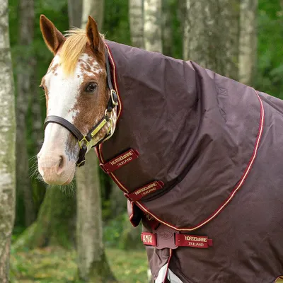 Obrázok produktu pre Horseware Amigo Bravo 12 Turnout Hood Medium 150g - Brown/Red