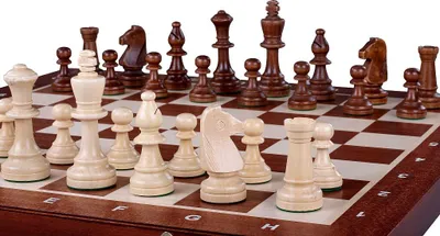Image de Échecs de tournoi n° 5 Lever de soleil, incrustation