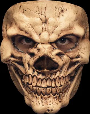 Produktbild von Schädel Skelett - Horror Halloween Maske Fasching