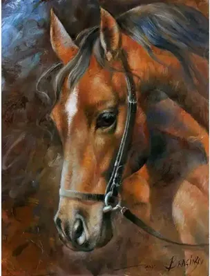 Produktbild von PRACHT Diamond Painting Pferd 40x30cm