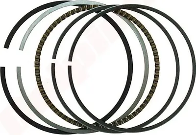 Image de Segment de piston Ducar Dh196