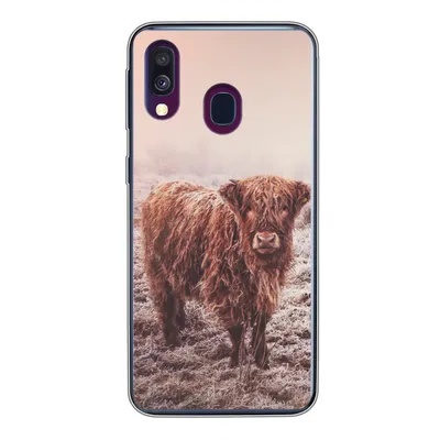 Produktbild von MuchoWow® Handyhülle Schutzhülle Hülle für Samsung Galaxy A40 Schottische Highlander - Schnee - Sonne Silikon Softcase Handy Hülle - Handy-Tasche