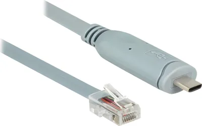 Image de DELOCK Adapter USB2.0/C St > Seriell RS232 RJ45 St 1.0m grau