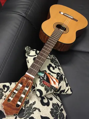 Produktbild von Höfner Hz25 Gitarre aus Zeder/Mahagoni mit 65 cm Mensur und 50 mm Sattelbreite