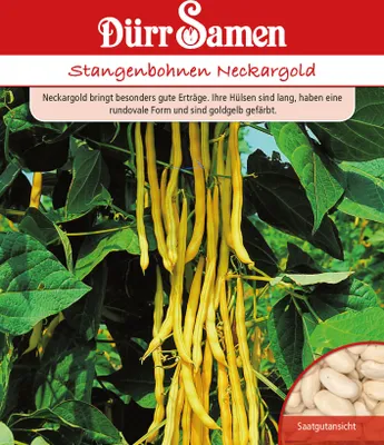 Produktbild von Stangenbohne Neckargold | Stangenbohnensamen von Dürr Samen