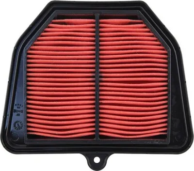 Obrázok produktu pre TECNIUM Luftfilter - 2D1144510000