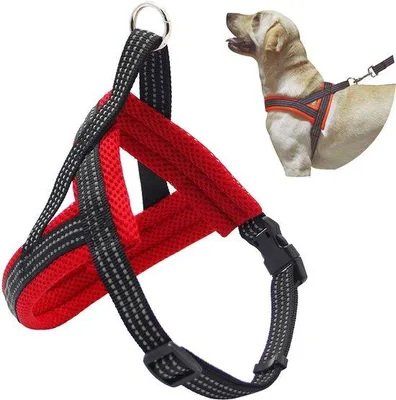 Image de Harnais réglable pour chien Benzoa® pour petits et moyens chiens, taille S à XL (8 à 32 kg), rembourré, respirant, en néoprène et nylon, 1 pièce, fermeture à clip