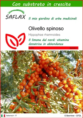 Immagine prodotto di SAFLAX - Olivello spinoso - 40 semi - Con substrato - Hippophae