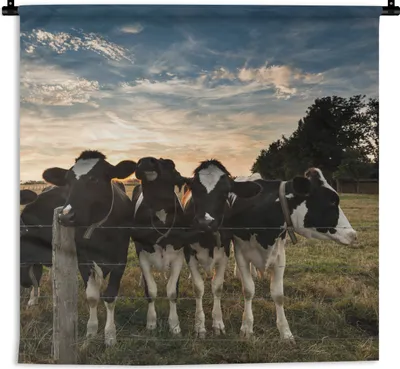 Produktbild von MuchoWow® Wandteppich Wandbehang Tiere - Kuh 120x120 cm Tapisserie Dekoration Wandtuch - Modern - Baumwollgewebe
