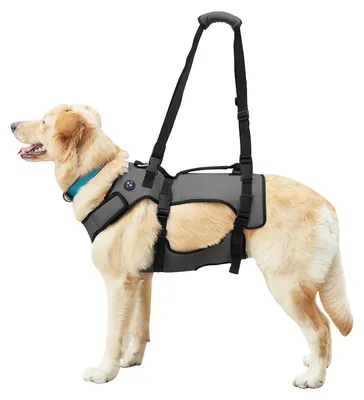 Produktbild von Hunde-Geschirr mit Vollkörperunterstützung - Verstellbar - Atmungsaktiv - Rehabilitationsweste - Für Behinderte/Hunde mit Arthritis - Größe M - Hundegeschirr