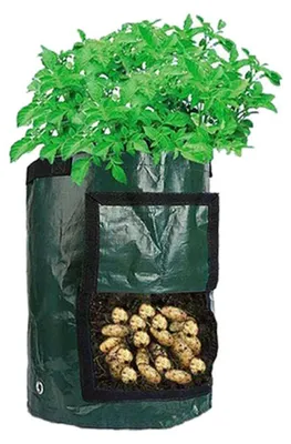 Produktbild von Kartoffelpflanzsack, Tomatenpflanztopf, Kartoffelsack, Pflanzsack, Anzuchtsack, Pflanzsäcke für Kartoffeln, Blumen, Pflanzen, Gemüse