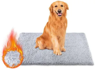 Immagine prodotto di Cuscino per gatti - 70x115 cm - Cuscino per cani - Cesto per gatti - Autorigenerante per gatti e cani - Tappetino termico per animali domestici - Coperta riscaldante - Cesto per cani - Letto per gatti - Letto per animali domestici - Divano per gatti - Fondo antiscivolo - Sfoderabile - Adatto per gatti, cani e altri animali domestici