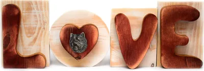 Produktbild von Cairn Terrier - Holzschriftzug LOVE, Innendekoration mit Hund, entzückende Dekoration für das Regal der Marke Art-Dog