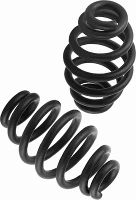 Image de 1 paire de ressorts de selle solo en acier de 7,6 cm pour moto chopper bobber 

Noir mat